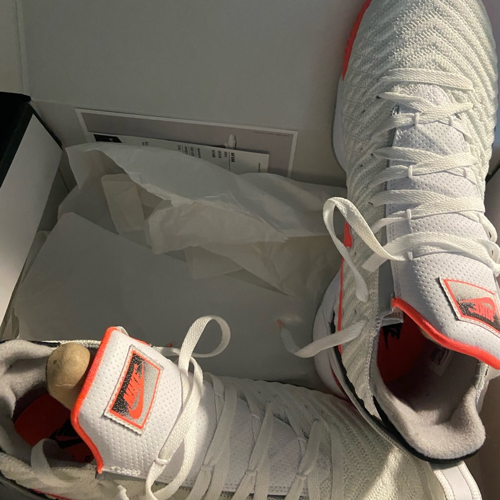 LebronXVI